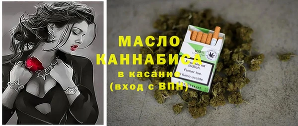 твердый Новозыбков