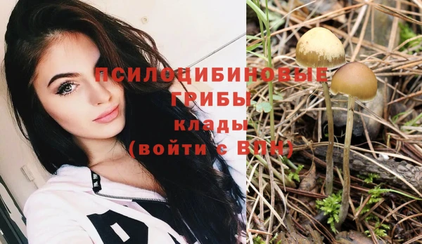 мяу мяу кристалл Балахна