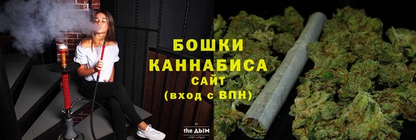 ECSTASY Новодвинск