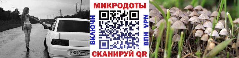Псилоцибиновые грибы MAGIC MUSHROOMS  что такое наркотик  Высоцк 
