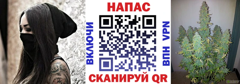 Марихуана SATIVA & INDICA  Высоцк 